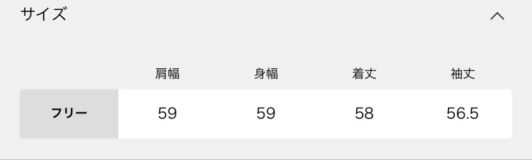 Deuxieme Classe【6397DEB SWEAT SHIRT】新品