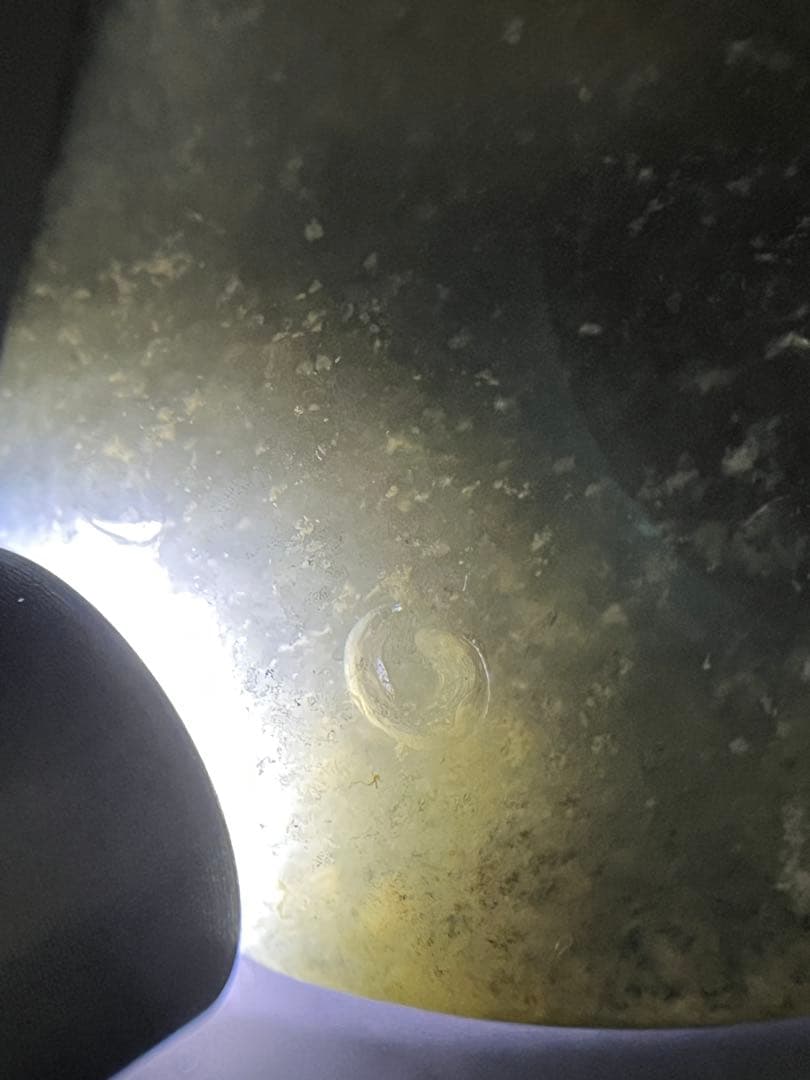 高品質！和田玉★青花籽料の置物、ストラップにも！証明書付き