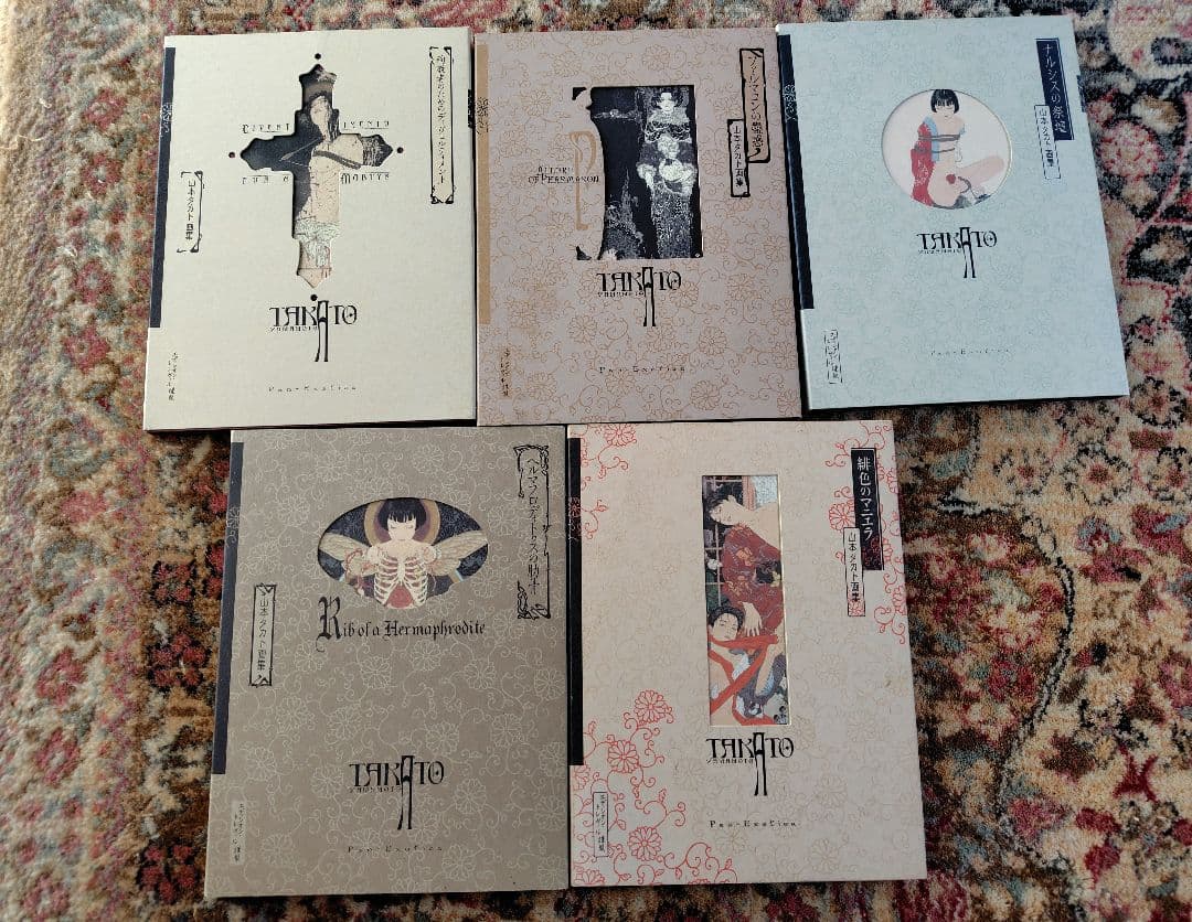 山本タカト 画集 5冊セット 1冊サイン入りTakato Yamamoto