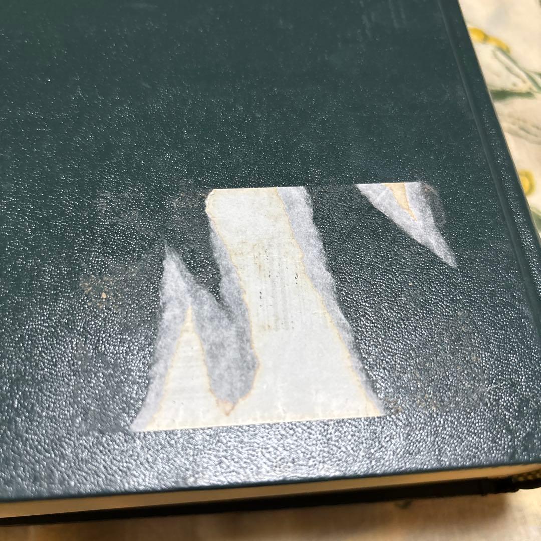 洋書 opathic Medical Repertory