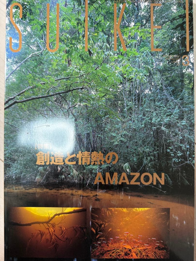 M*o様 SUIKEI nature aquarium visual magaz