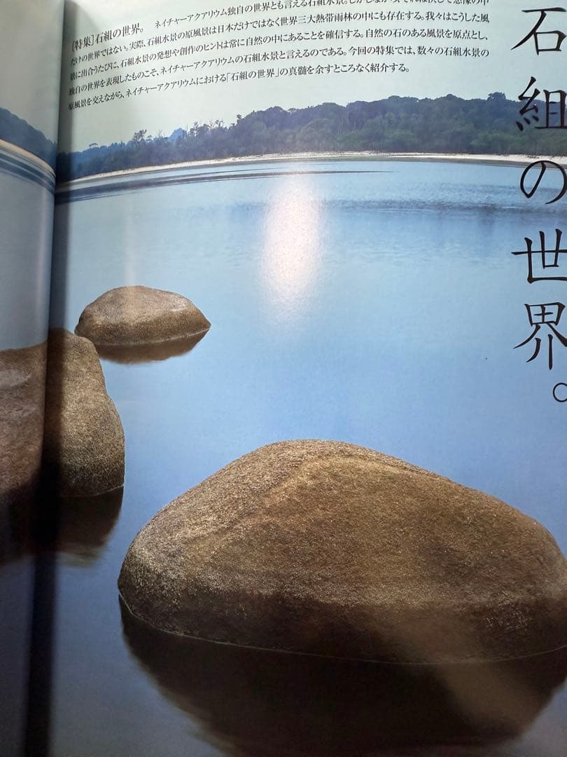 M*o様 SUIKEI nature aquarium visual magaz