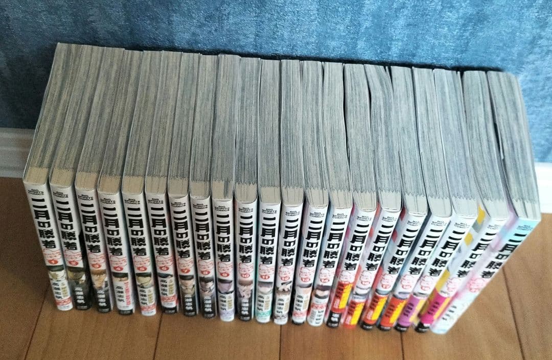 二月の勝者 全巻セット 全21巻