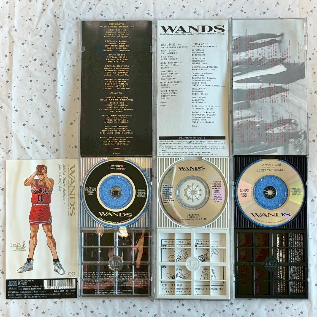 【レア✨】名盤CD WANDS　（ワンズ）まとめ /16点