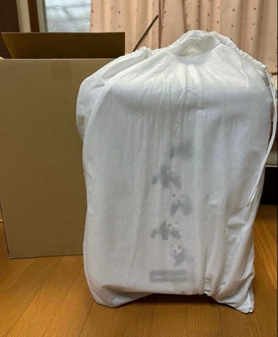 上野 パンダファミリー 松坂屋 リーリー シンシン シャンシャン レイレイ