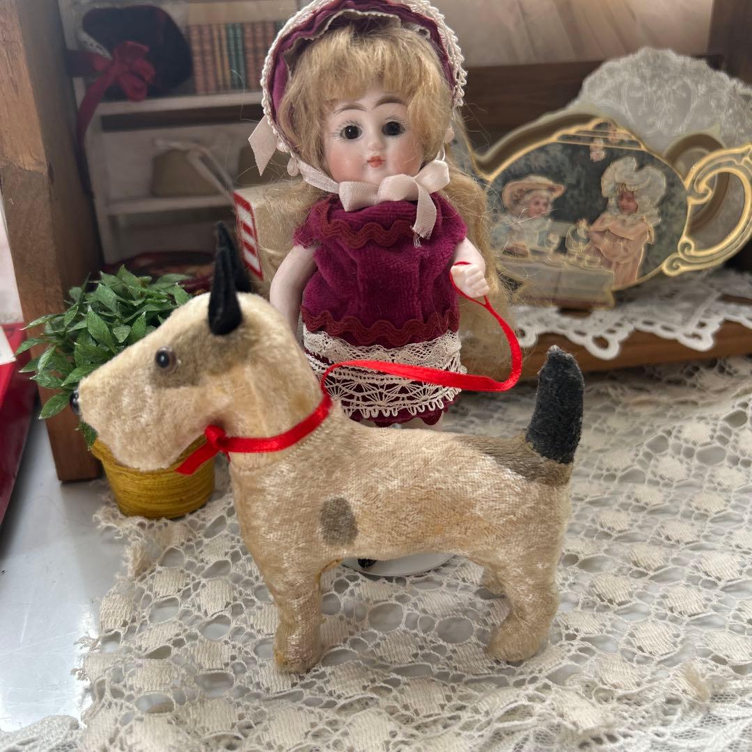 ビンテージフォックステリア