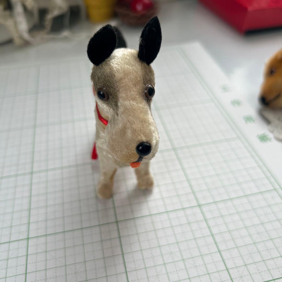 ビンテージフォックステリア