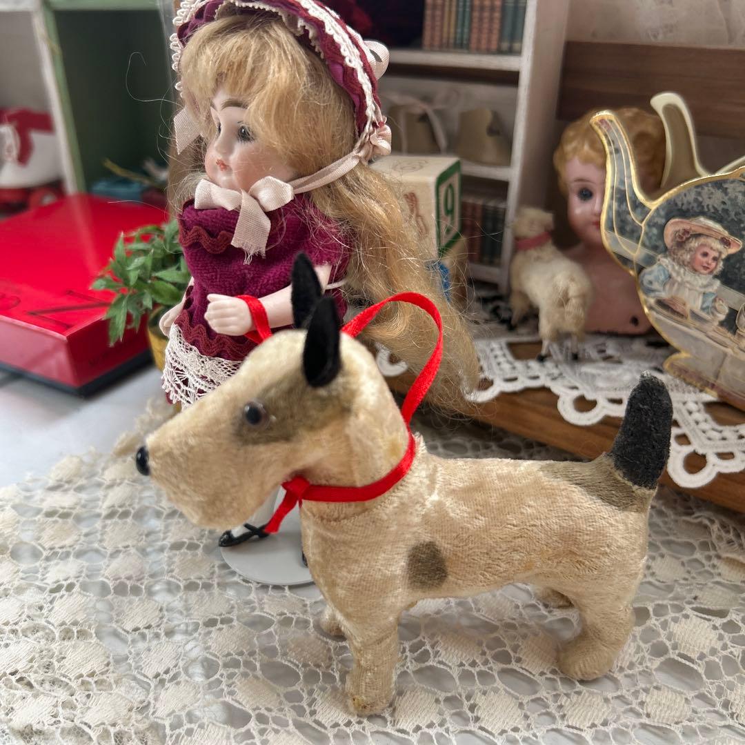 ビンテージフォックステリア