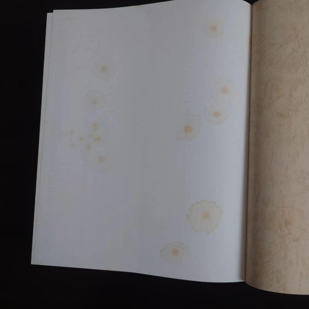 Color ANCHOR 英語大事典