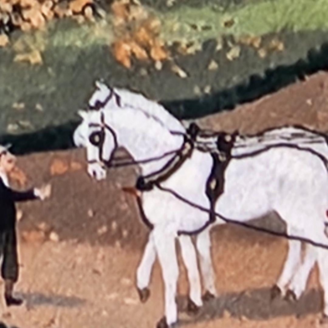 リ*カ様 ミッシェル　ドラクロア　シティーホールのウェディング　リトグラフ