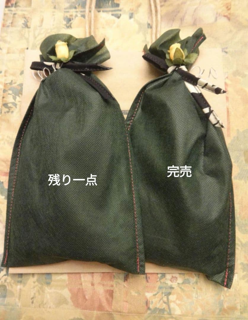 メールマガジン・数量限定　完全無欠の縦型キャリングケース　　iPhone14