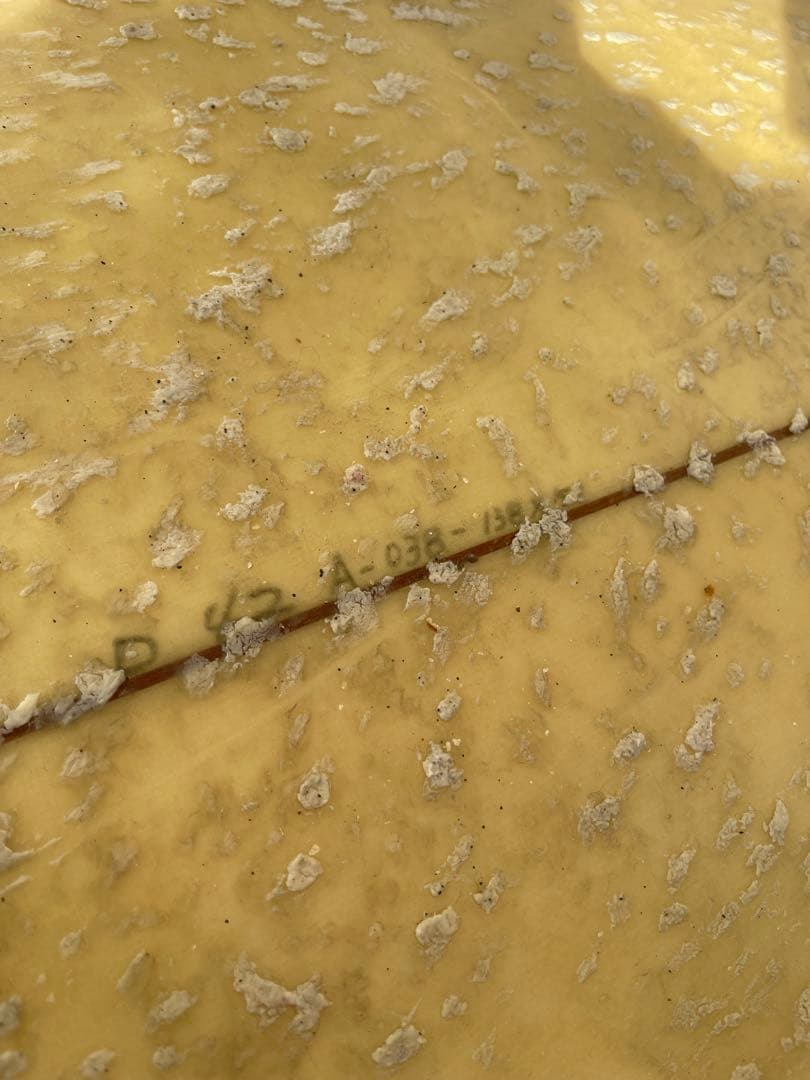 APOLLO surfing サーフボード サーフィン ホワイト