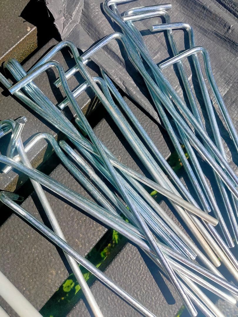 プロフ必読！大きいテント！Coleman Montana Tent