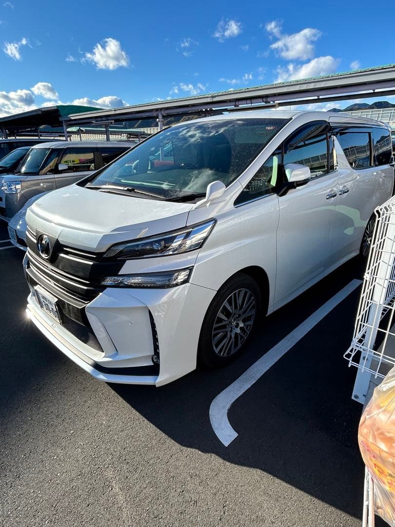 30ヴェルファイア 前期　フードモール