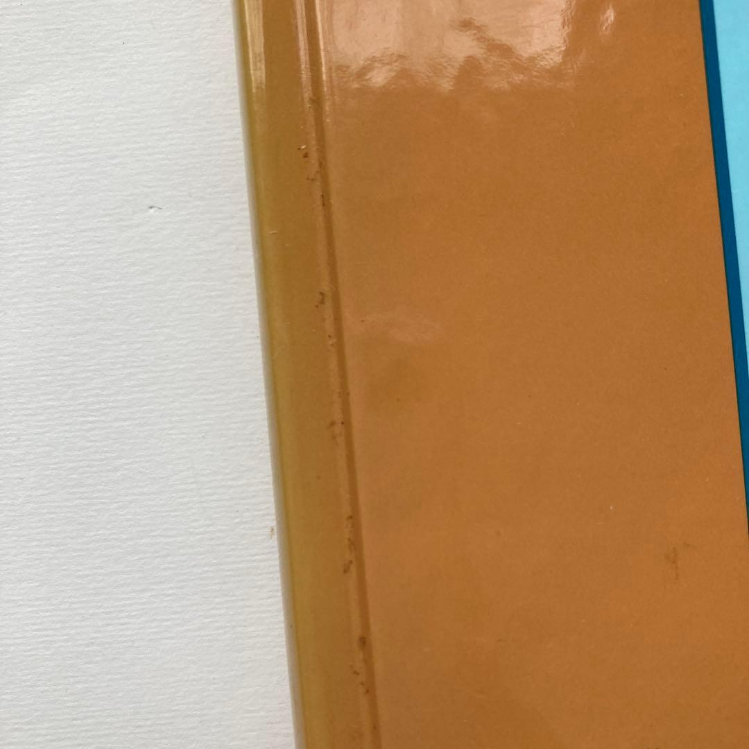 語学・辞書・学習参考書 A Tour of Subriemannian Geometries