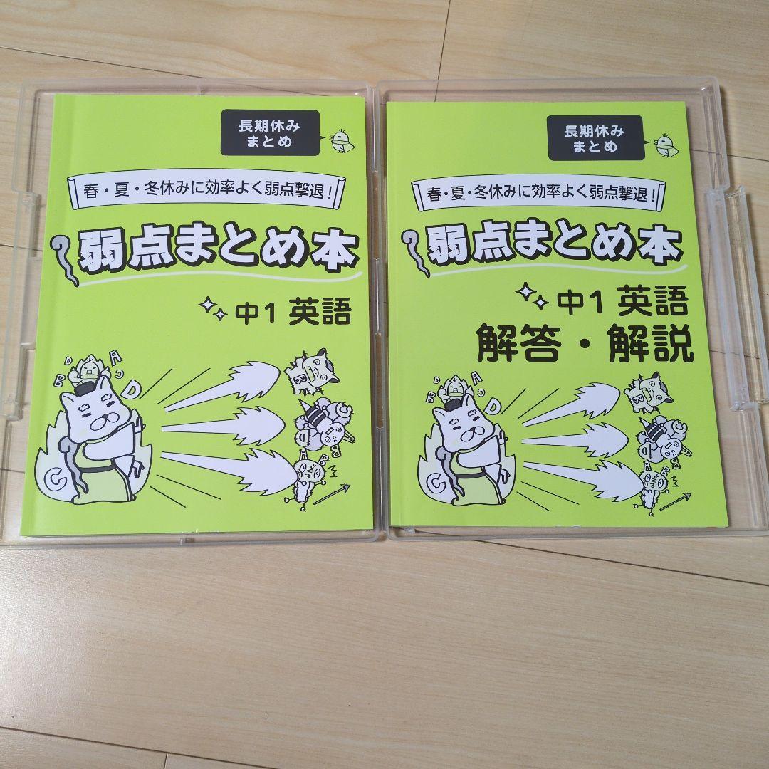 学習ゼミ メイトホームスタディ 全科目