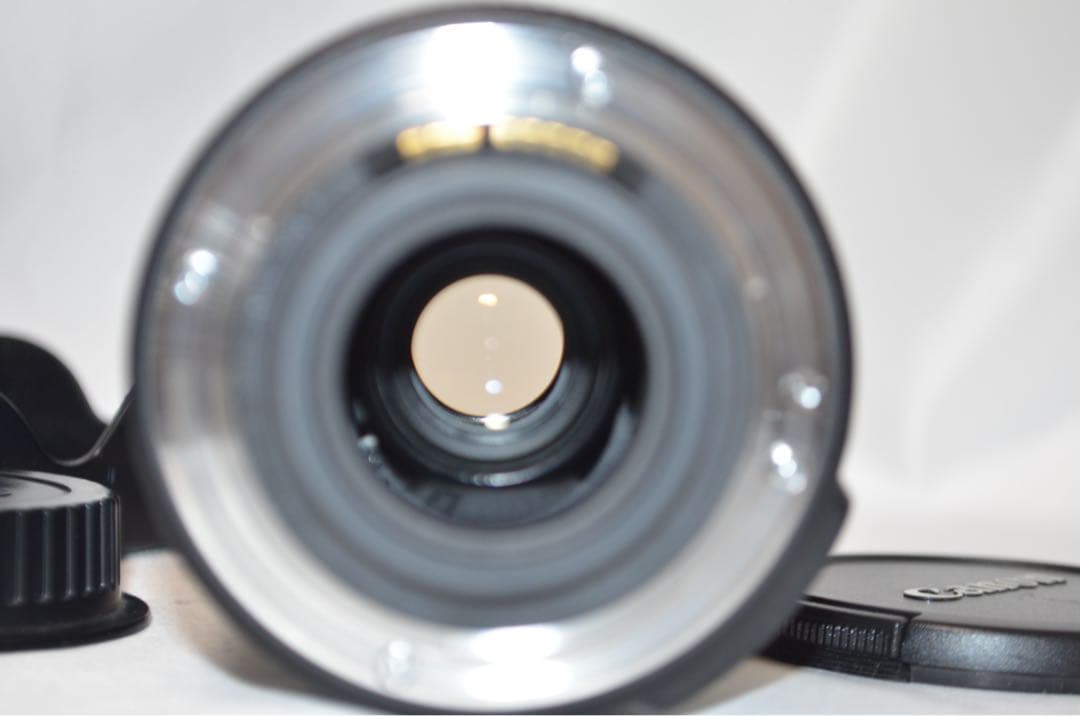 ★美品★Canon キャノン EF-S 18-135mm 3.5-5.6 IS