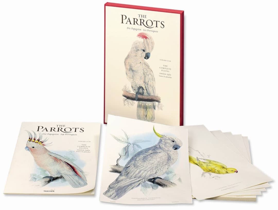 希少 The Parrots Die Papageien 鳥 コレクター 画集