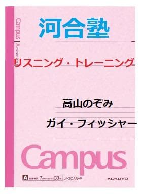 【河合塾】『リスニング・トレーニング　ガイ・F／高山のぞみ　第1講ノート』　+α