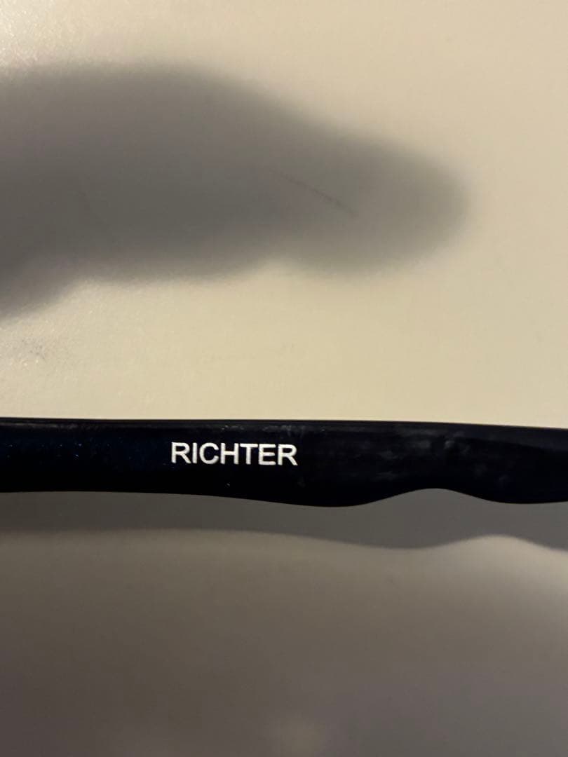 STUSSY EYEGEAR RICHTER サングラス 純正ソフトケース付き