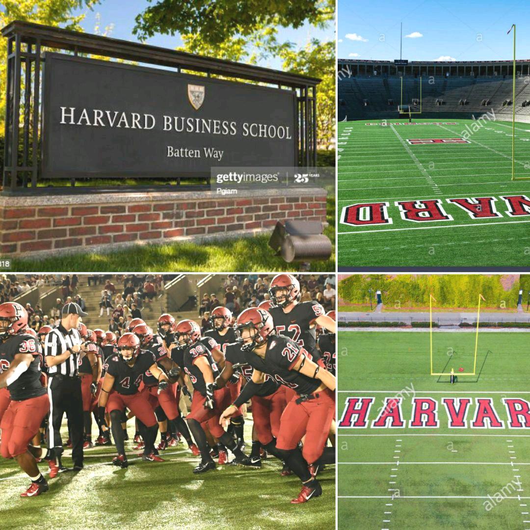 【国内未発売モデル・正規ライセンス商品】ハーバード大学　アンダーアーマー　シャツ