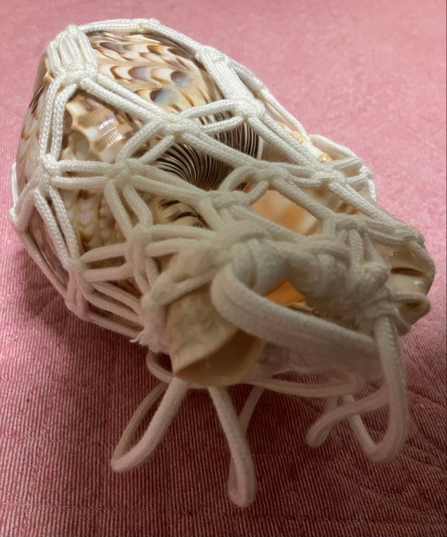 大*1様 法螺貝　骨董品　縁起物　和楽器