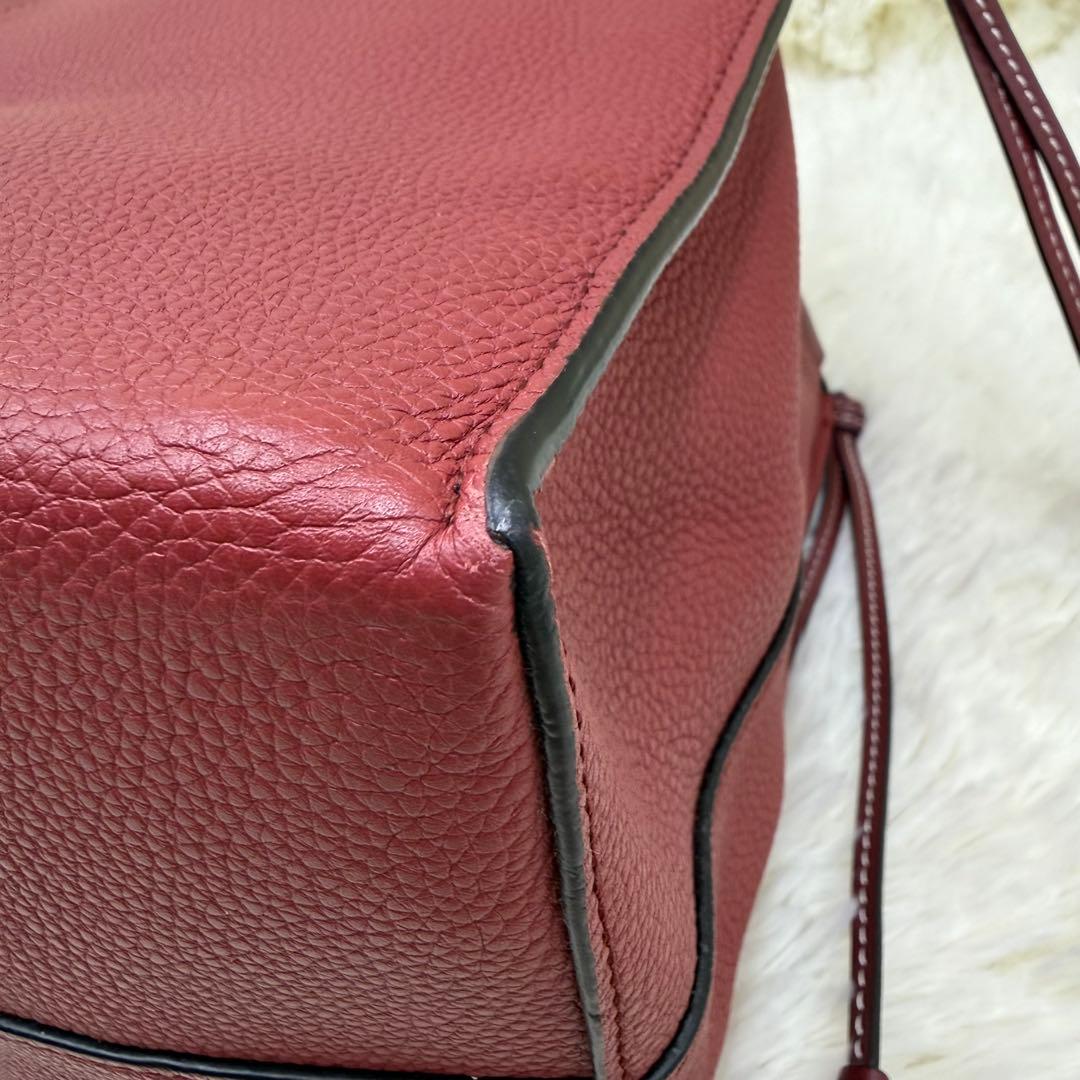 ✨美品✨ロエベ クッショントート レザー アナグラム ワインレッド