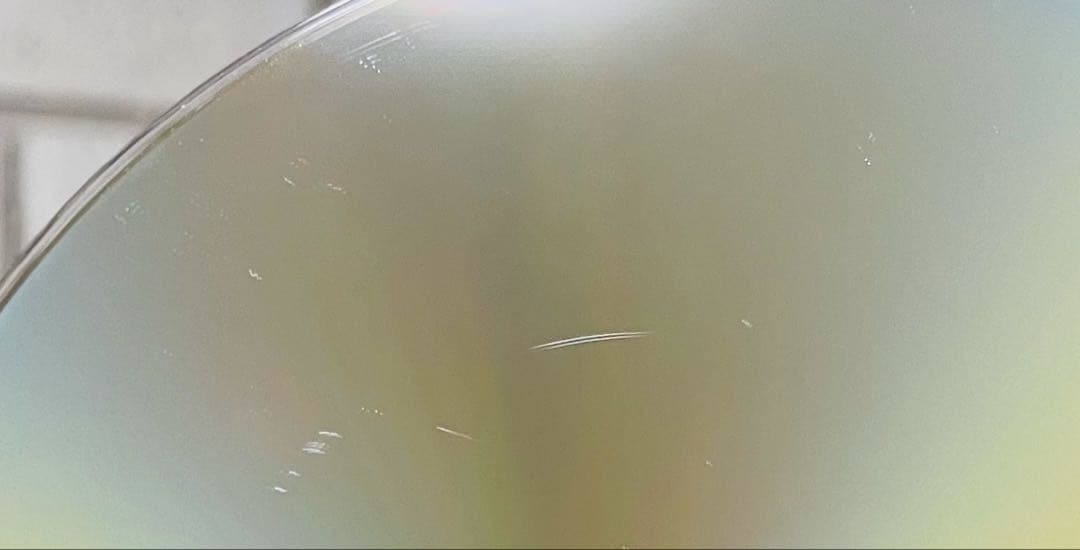 はみだし刑事情熱系 PART6 コレクターズDVD デジタルリマスター版〈5枚…