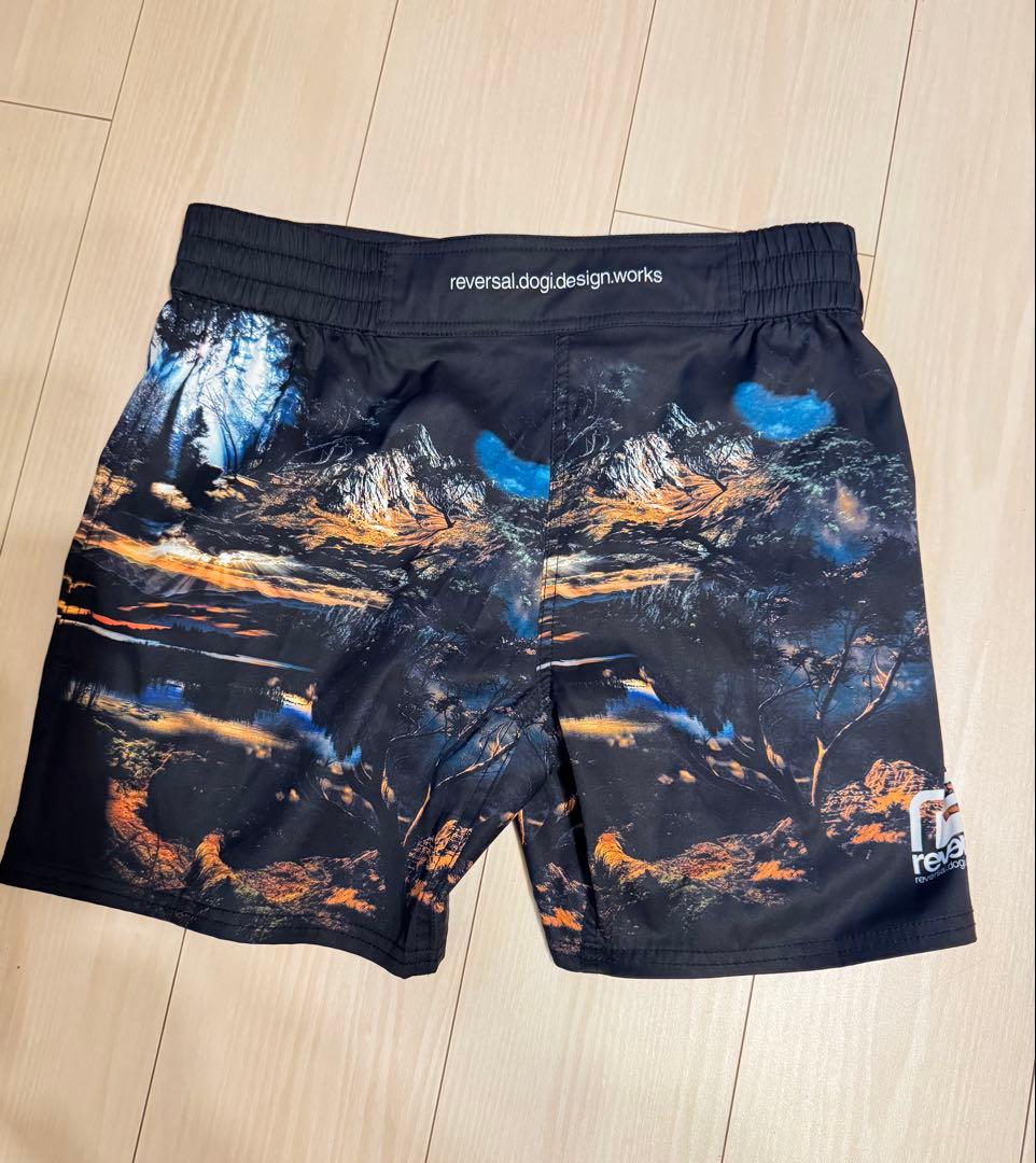 reversal 風景プリント ショートパンツ Mサイズ
