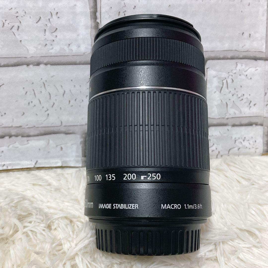 【極美品】 Canon EF-S 55-250mm F4-5.6 ISⅡ レンズ