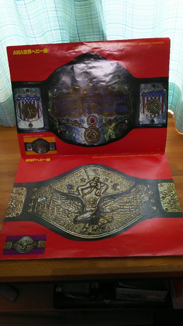 栄光の輝き(実物大プロレスチャンピオンベルト集)