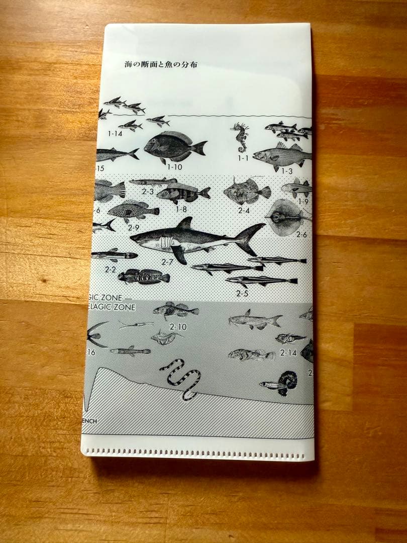 サカナクション 魚図鑑 【完全生産限定プレミアムBOX】 (3CD+魚大図鑑)