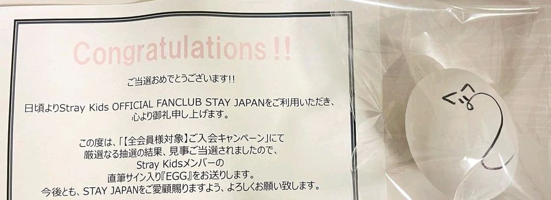 stray kids IN ジョンイン 直筆サイン EGG