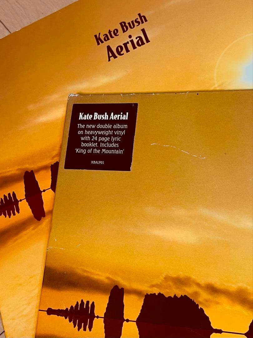 Kate Bush Aerial レコード　オリジナル盤