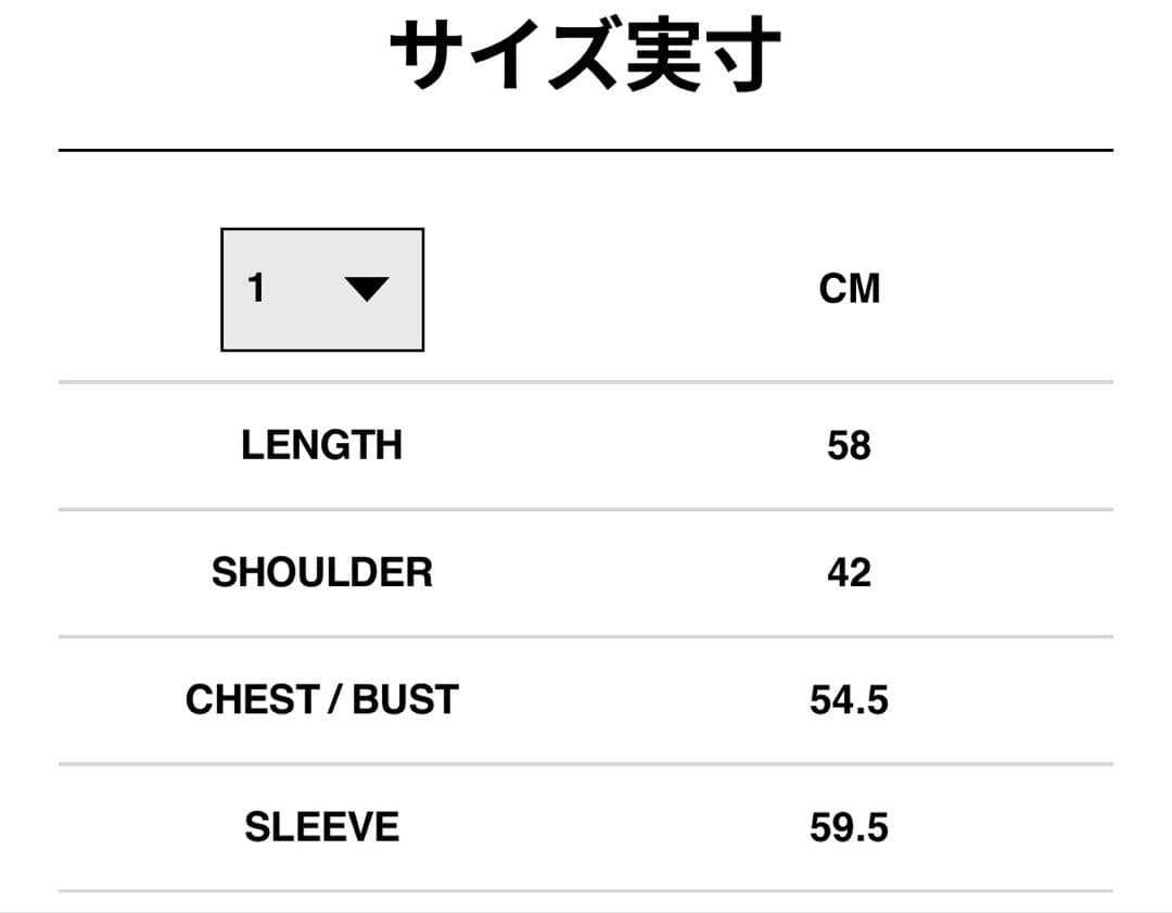 【新品未使用】 sacai パーカー
