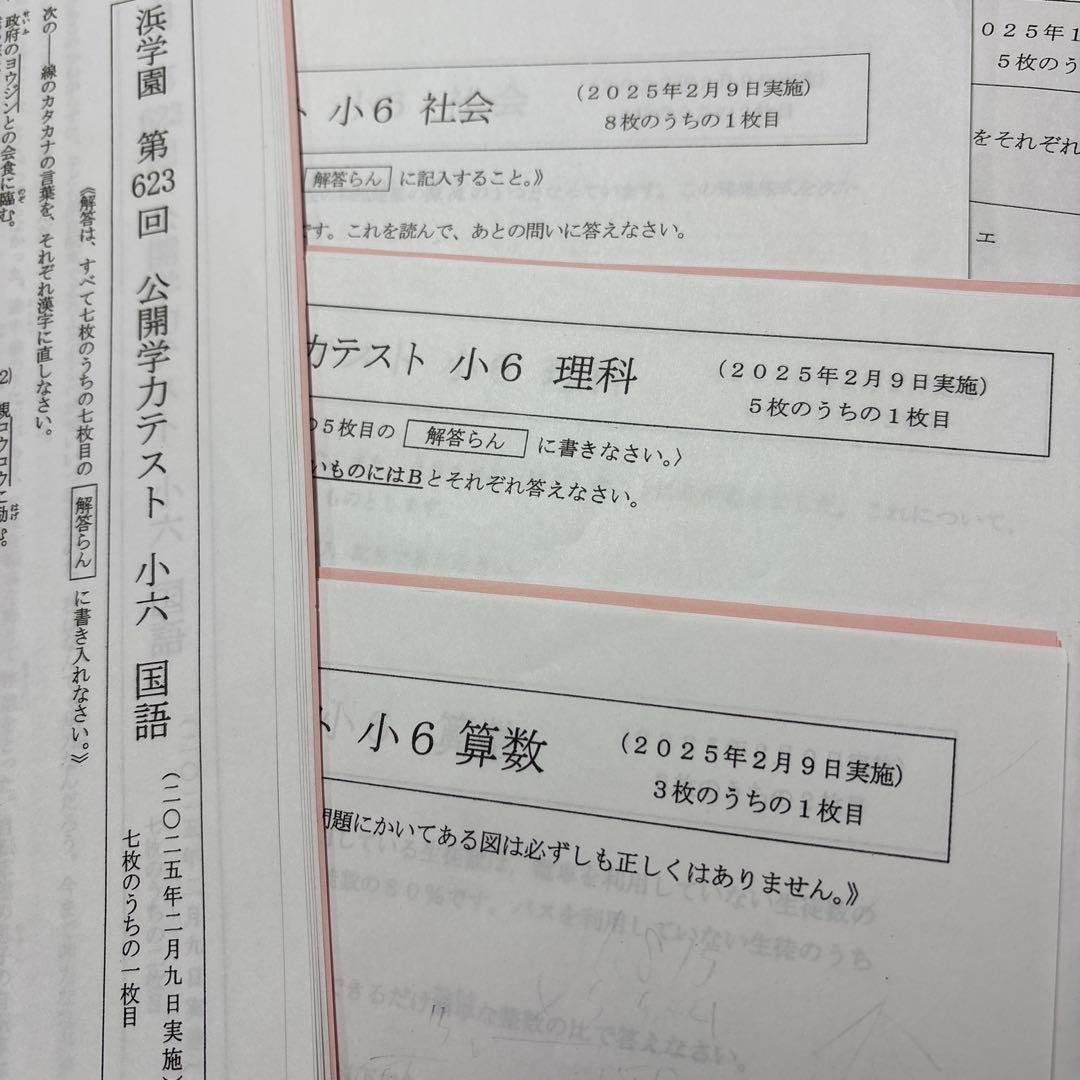 公開テスト4科　合否判定テスト4科　最新版小６　得点分布表付き　おまけ付き