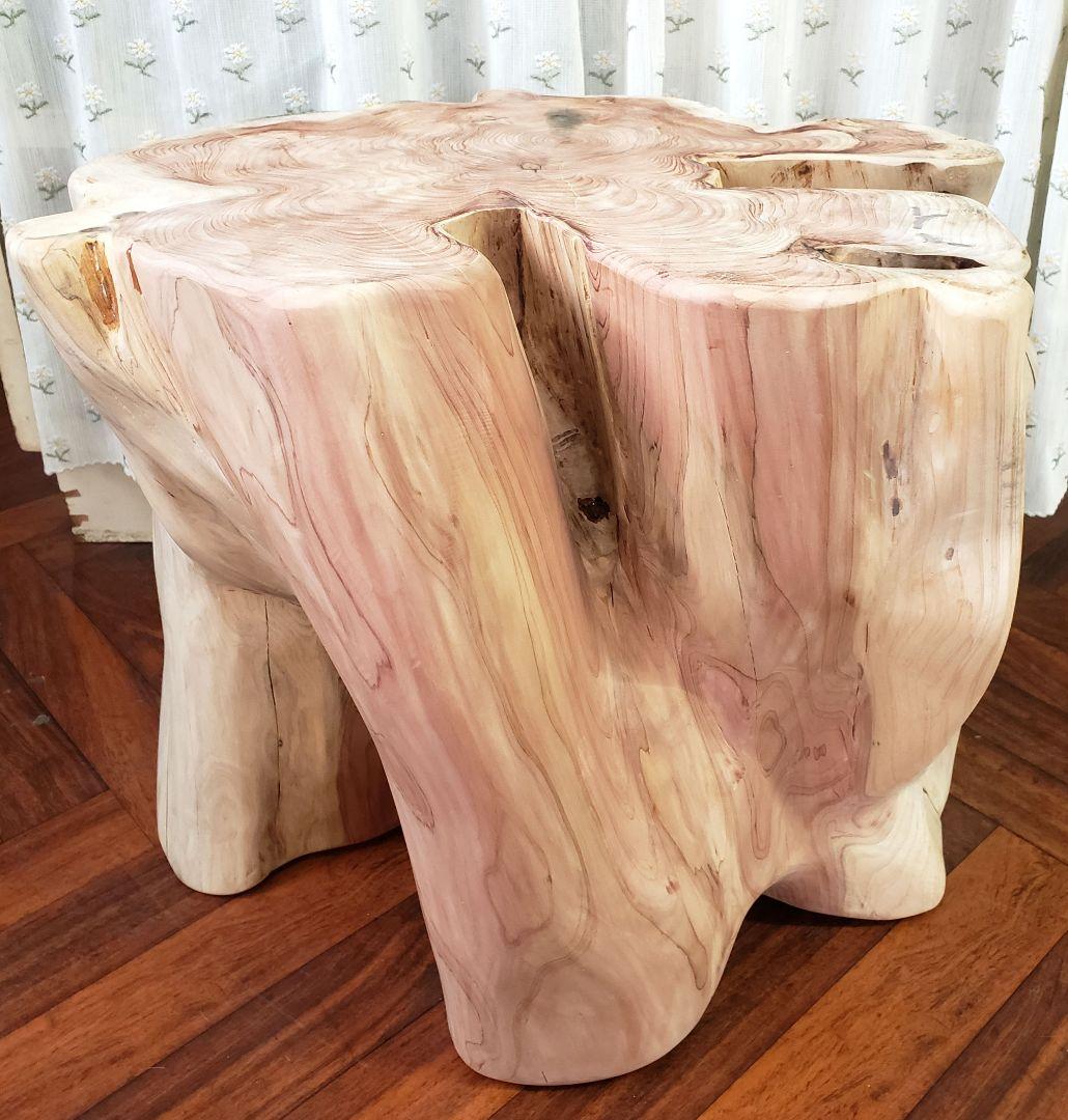 貝塚伊吹希少サイズ丸太