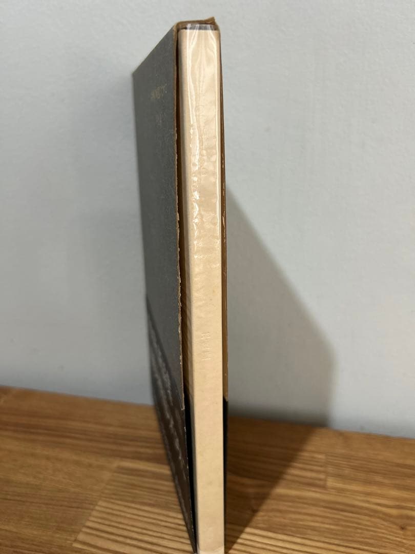 希少　絶版　平出隆 胡桃の戦意のために 単行本