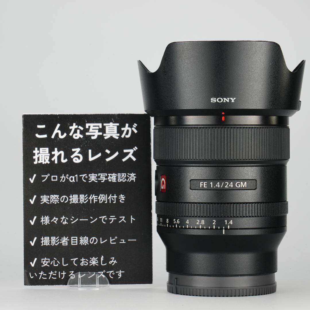 極美品 SEL24F14GM SONY F1.4 GM 星景 動画 フィルター