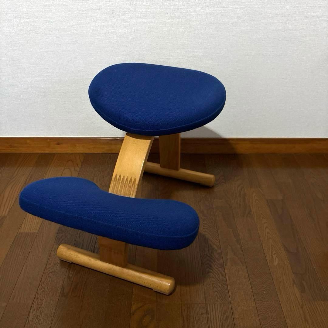 【匿名配送】バランスイージー ブルー 通常フレーム