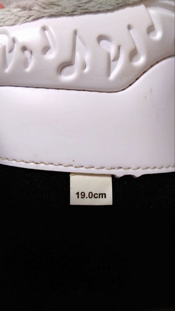 ピュアコンシャス　スキー板　110cm　HELD ブーツ　19cm　セット