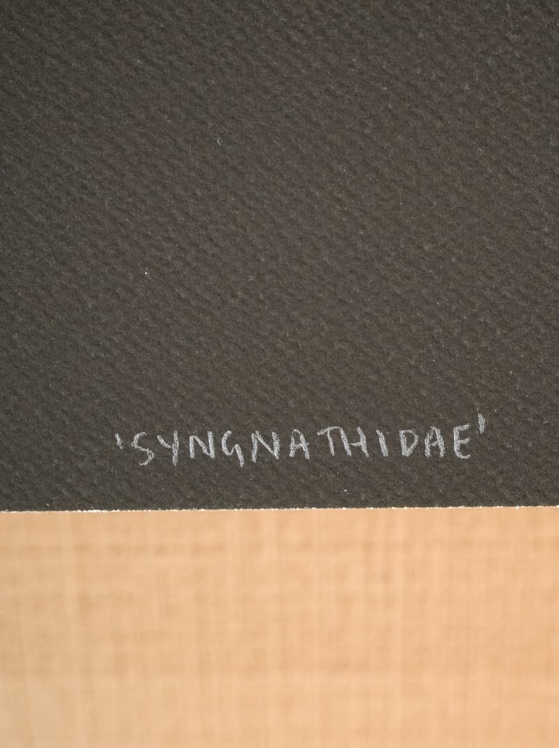 K*様 Zoe Keller 版画