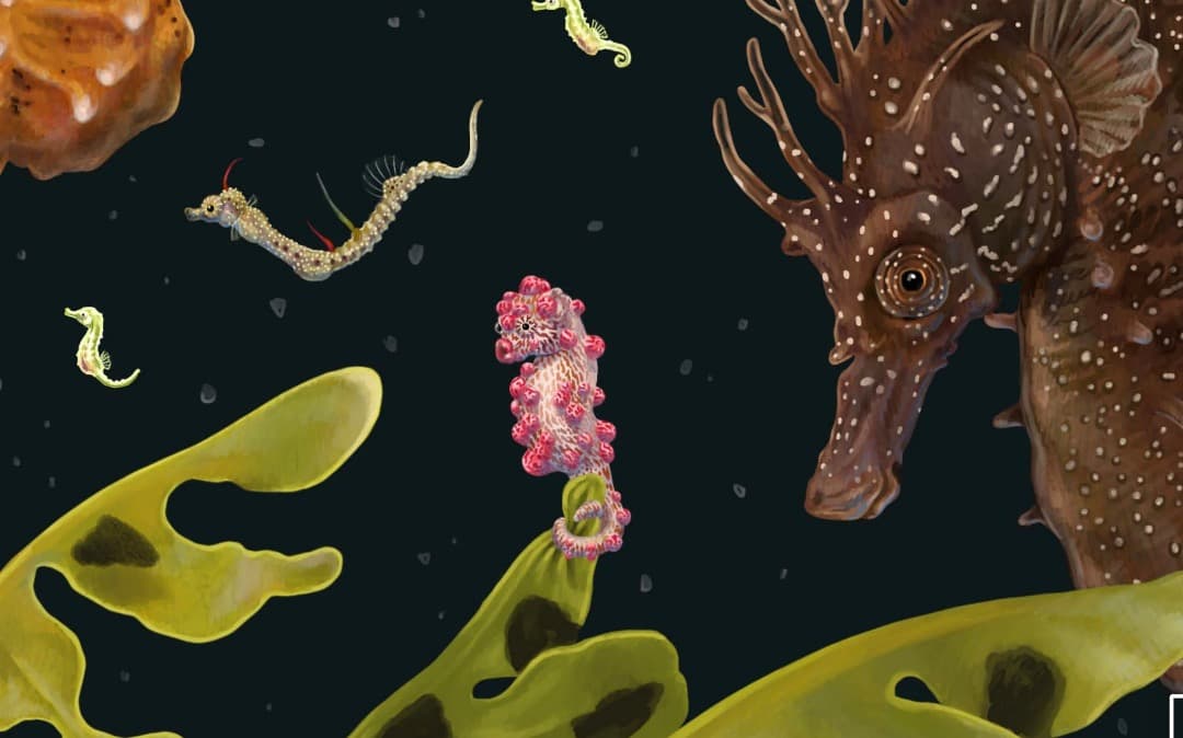 K*様 Zoe Keller 版画