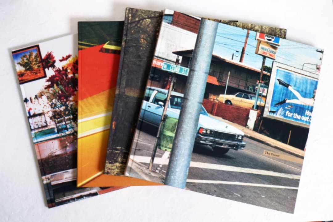 William Eggleston（The Democratic Forest）