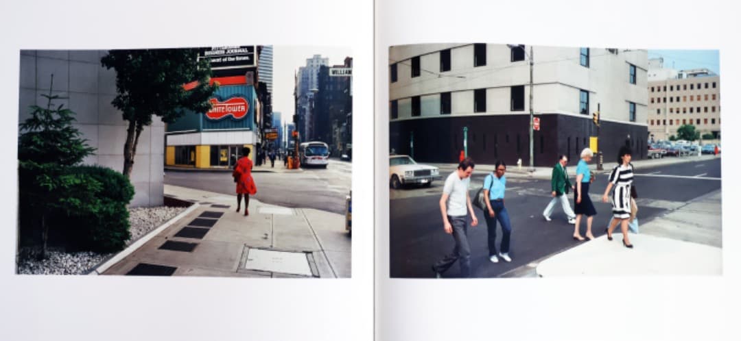 William Eggleston（The Democratic Forest）