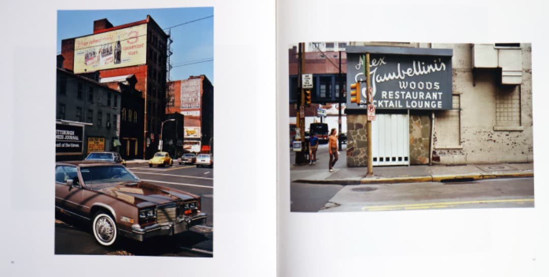 William Eggleston（The Democratic Forest）