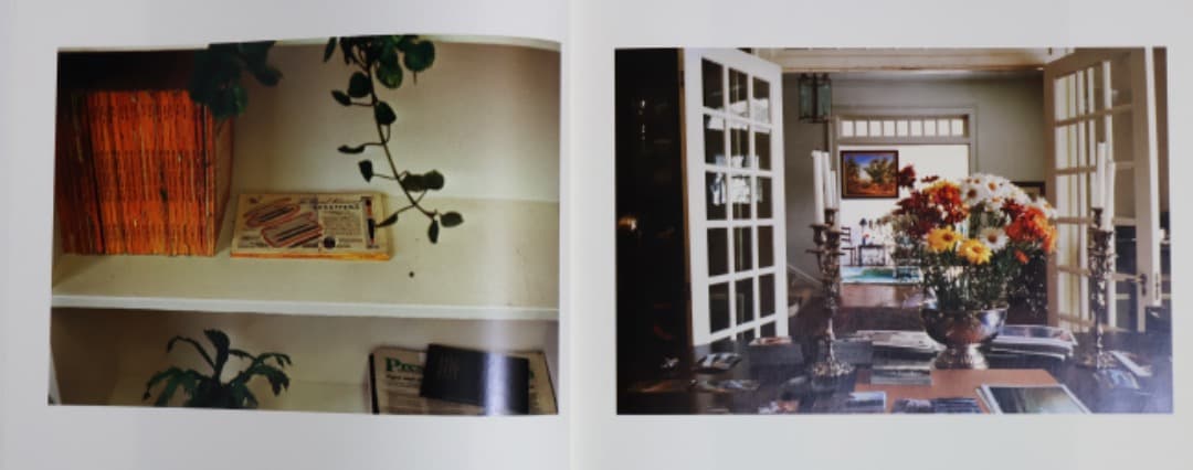 William Eggleston（The Democratic Forest）