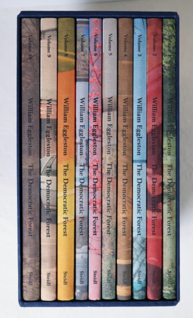 William Eggleston（The Democratic Forest）