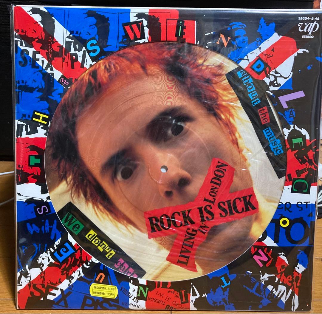 希少価値あり！Sex Pistols /国内盤　ピクチャーレコード【2LP】