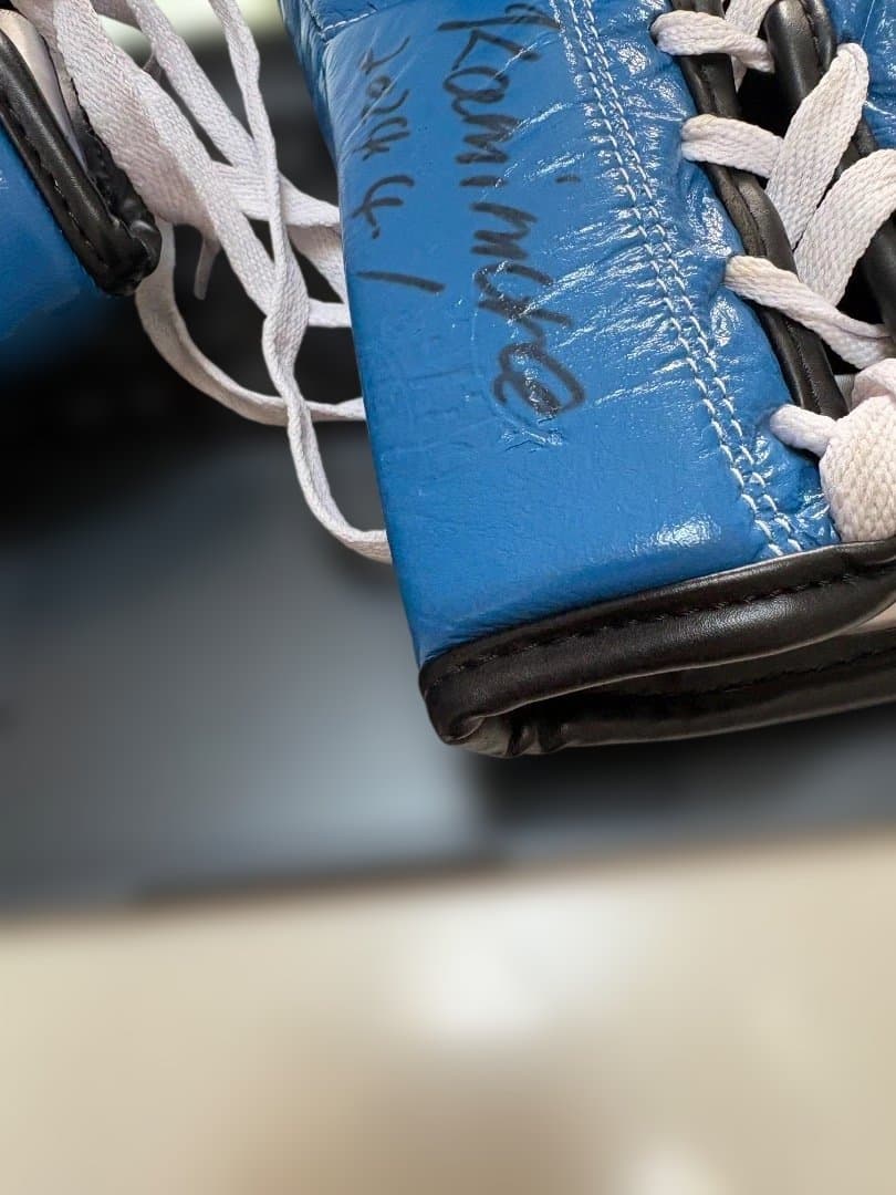 Reyes ボクシンググローブ